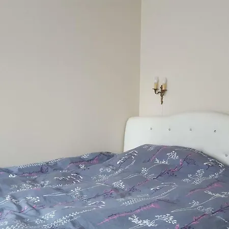 بيت ضيافة Sakala تالين